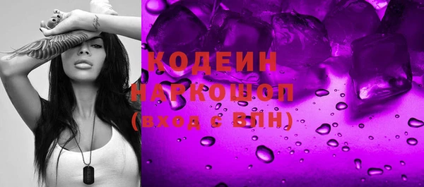 хмурый Белокуриха