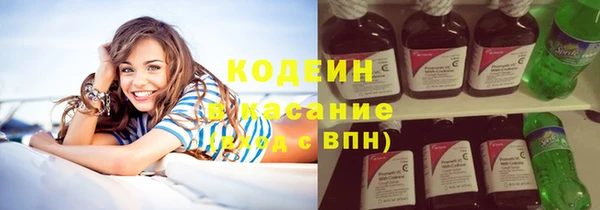 хмурый Белокуриха