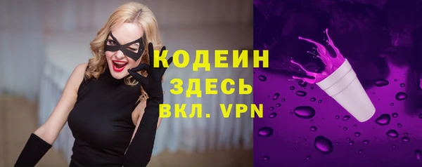 хмурый Белокуриха