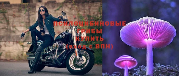хмурый Белокуриха