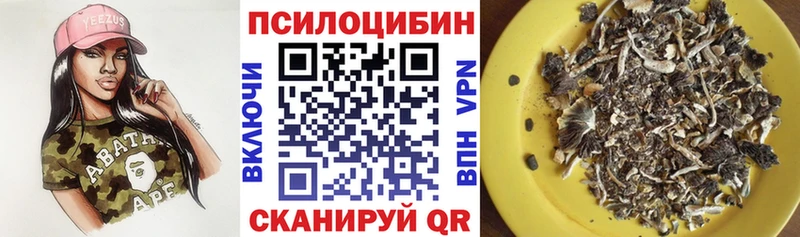 Галлюциногенные грибы Cubensis Лыткарино