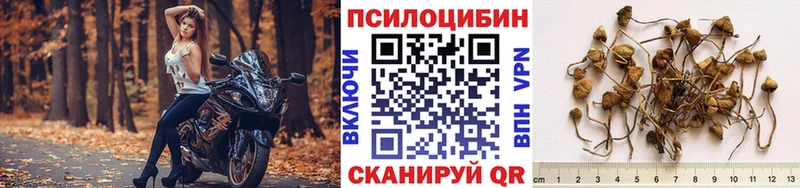гидра рабочий сайт  где можно купить наркотик  Лыткарино  Галлюциногенные грибы Magic Shrooms 