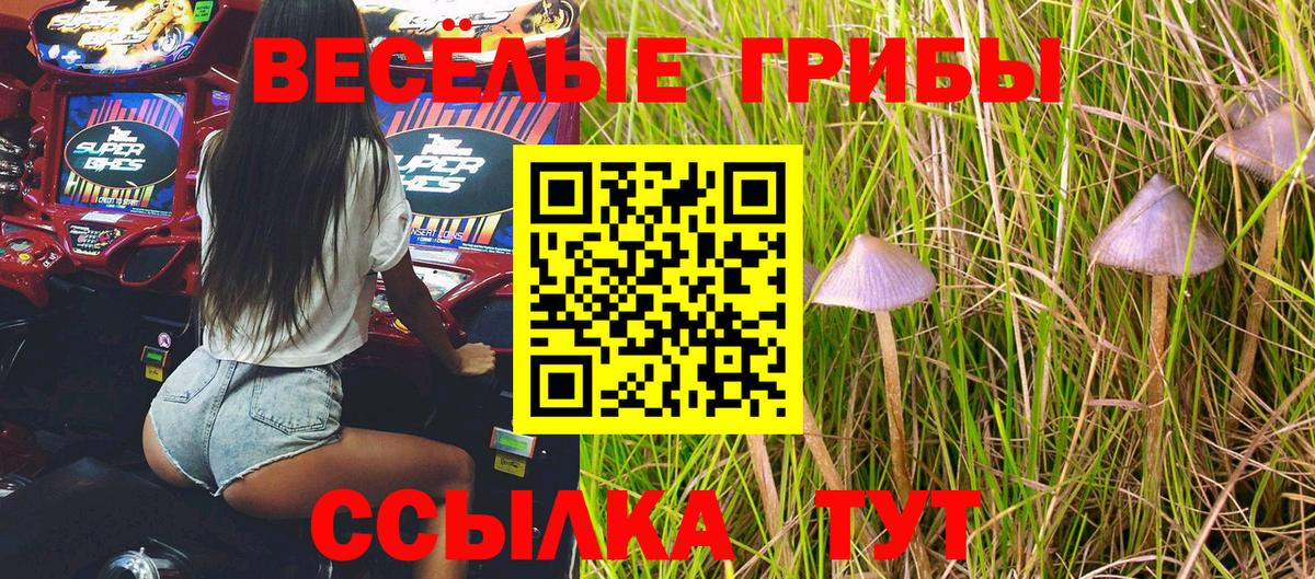 Лыткарино  Псилоцибиновые грибы Psilocybine cubensis  Вход с VPN 